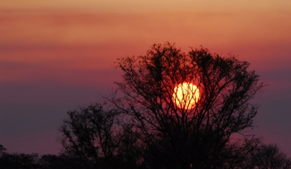 Zambia – Sunset at Busanga Plains