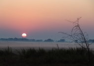 Sunrise at Busanga Plains