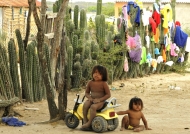 Wayuu children