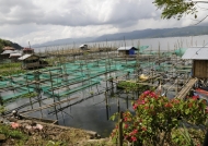 Fish farming-Lake Tondano