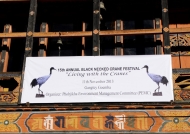 Black-necked Crane Festival