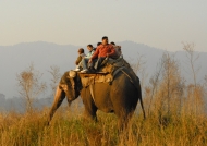 Elephant ride – Corbett N.P.