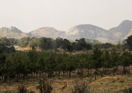 Elephant Rock from far