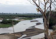 View of the Rufiji River