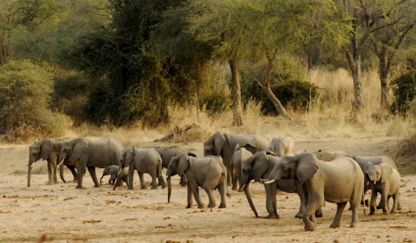 Gathering in a dried river bed