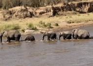Then crossing the Mara river