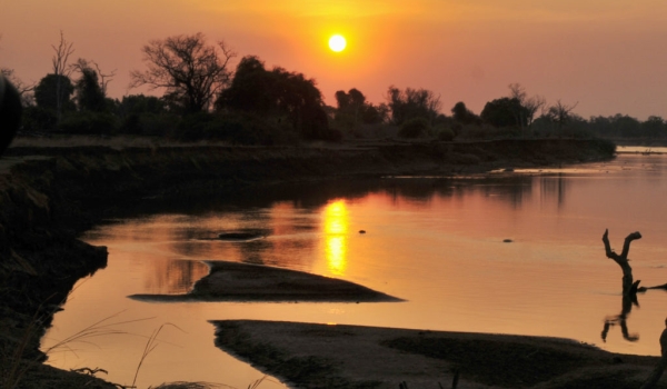 Luangwa River is adorned…