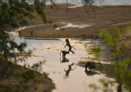 Yellow Baboons – view from our room