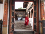 Monk in Thimphu Dzong