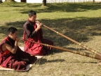 Tibetan horn (dungchen)