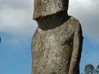 One Moai among the seven