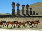 Moai at Anakena beach