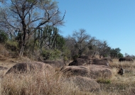 Zambia – Kafue NP