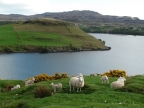 Skye – Loch Harport