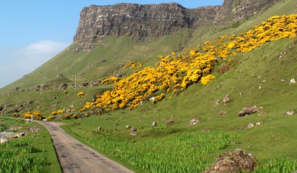 Mull typical road