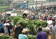 Banana Market