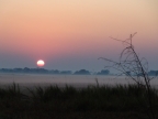 Sunrise at Busanga Plains
