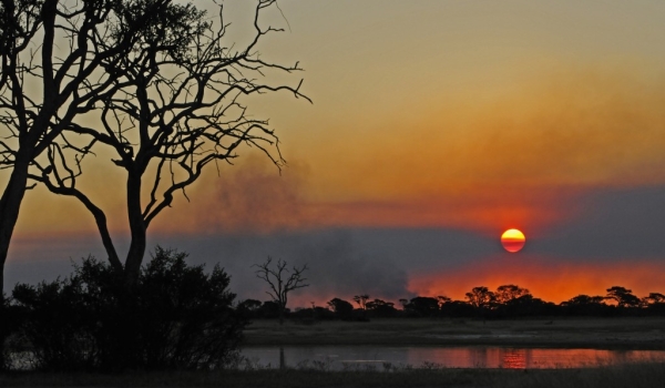 Bushfire at sunset