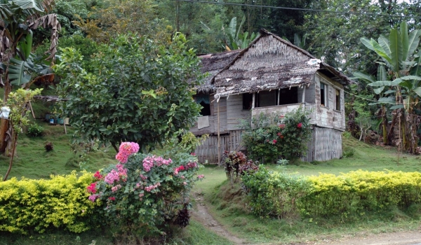 local « cottage »