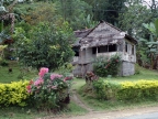 local « cottage »