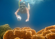 Snorkeling over Coral