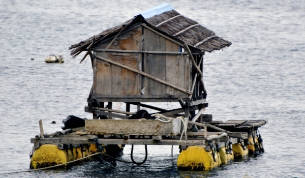 House used to trap fishes