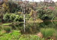 Lampari Botanical Park