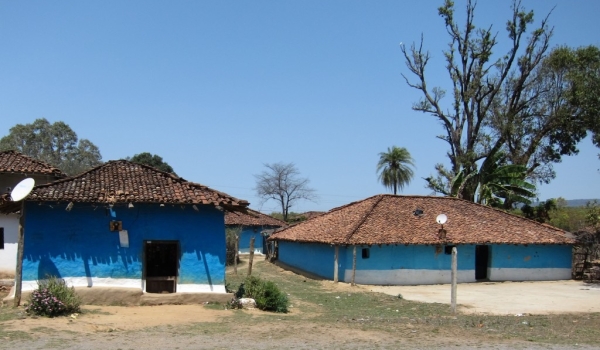 Houses near Kanha