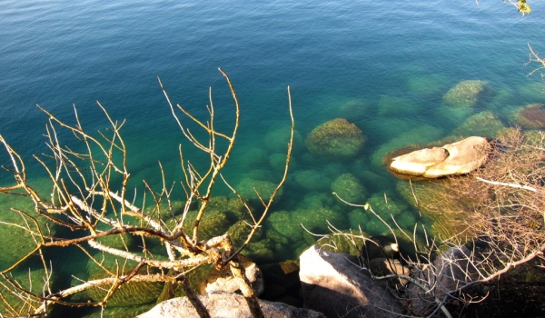 Clear Lake Malawi