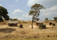 Typical bush houses