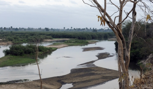 View of the Rufiji River