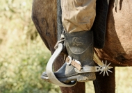 Great boots, poor horse!