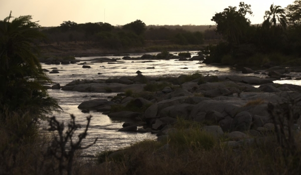 Mara river – Serengeti