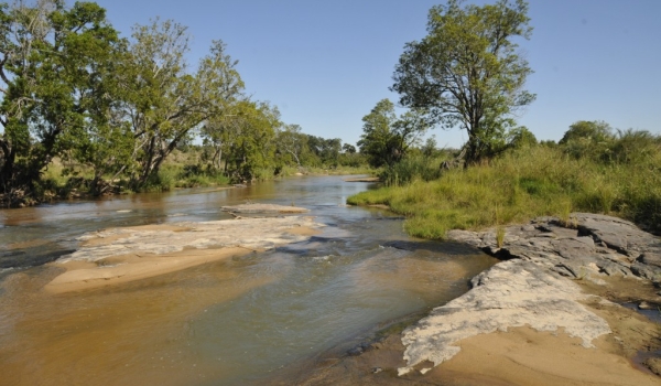 River in Sabi Sand reserve
