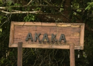 Akaka is in Loango NP