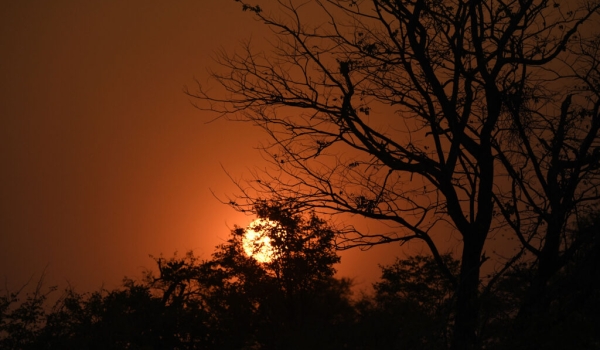Sunset in the South Luangwa River N.P.